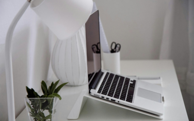 Die Wahl des richtigen Webdesigners: Worauf du achten solltest